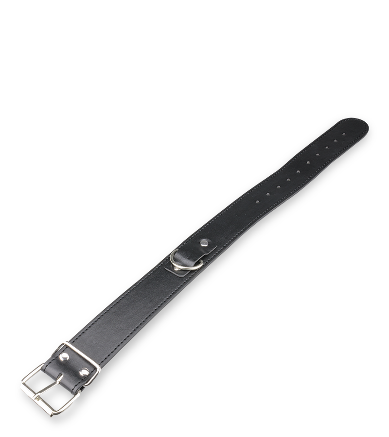 BDSM-Halsband und -Leine