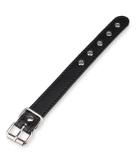 Laden Sie das Bild in den Galerie-Viewer, BDSM-Penisleine aus Leder