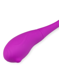 Laden Sie das Bild in den Galerie-Viewer, Doppel-Vibroei Bulbi