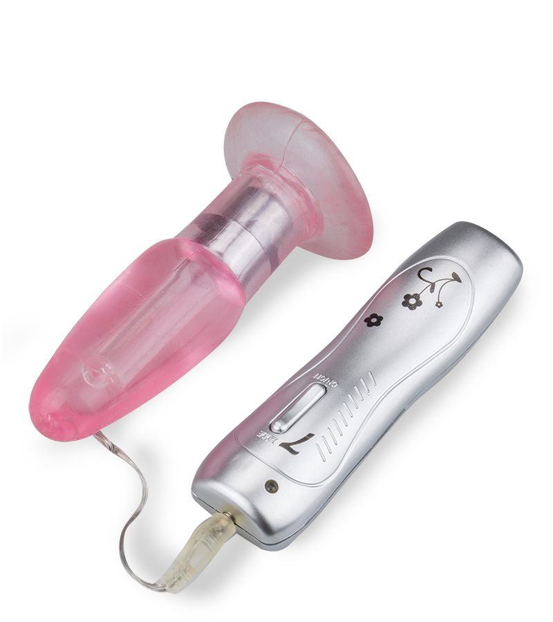 Ferngesteuerter Buttplug