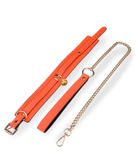 Laden Sie das Bild in den Galerie-Viewer, Fluoreszierendes Halsband mit Leine in Orange