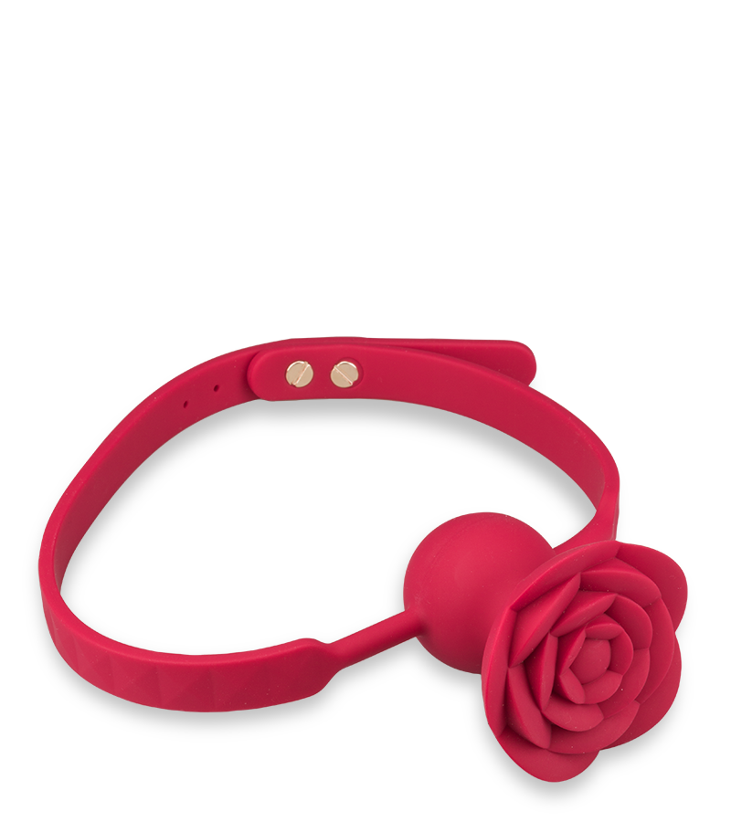 Gagball mit Vibration Rosie