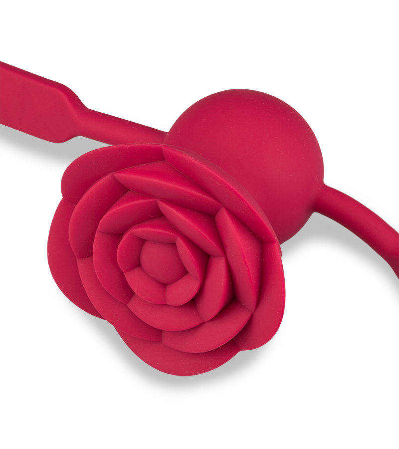 Gagball mit Vibration Rosie
