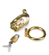 Laden Sie das Bild in den Galerie-Viewer, Goldfarbener Keuschheitsgürtel chinesische Astrologie Schwein