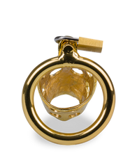 Laden Sie das Bild in den Galerie-Viewer, Goldfarbener Keuschheitsgürtel chinesische Astrologie Schwein