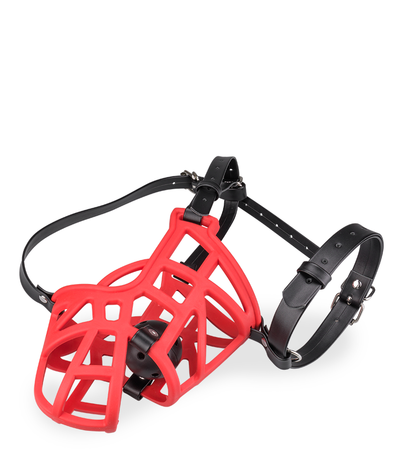 Maulkorb mit abnehmbarem Gagball