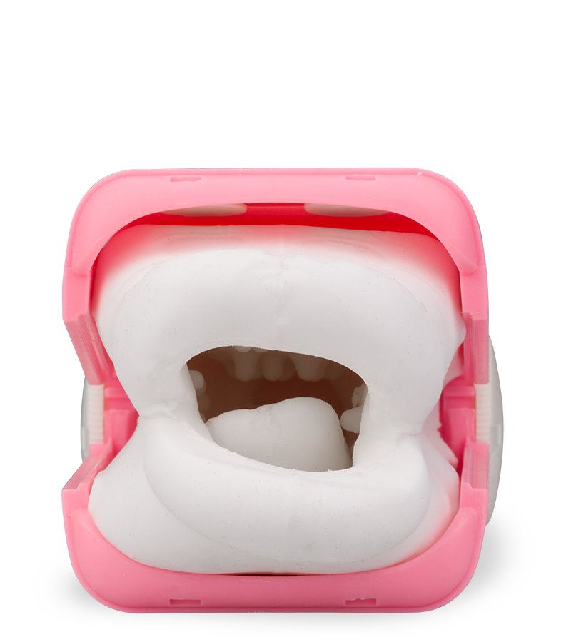 Oral-Masturbator mit Blowjob-Feeling