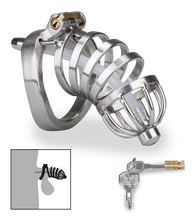 Laden Sie das Bild in den Galerie-Viewer, Penis-Käfig mit Harnröhrensonde Verdict