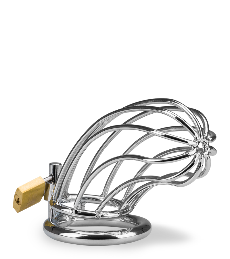 Penis-Keuschheitsgürtel Sentence