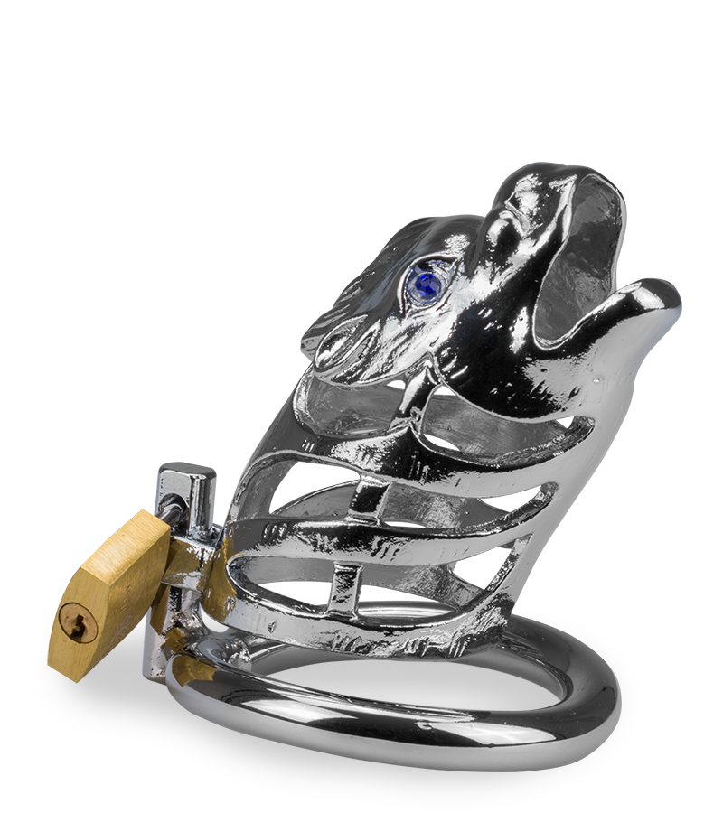 Peniskäfig mit chinesischem Drachen