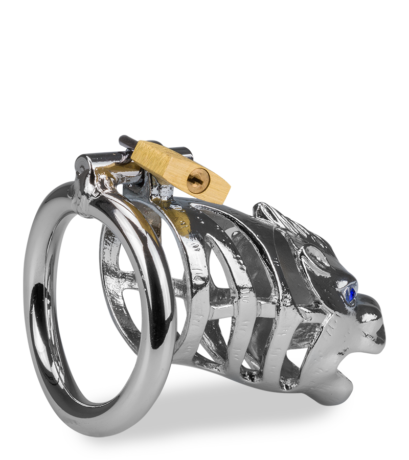 Peniskäfig mit chinesischem Drachen