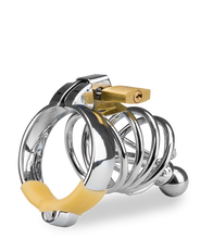 Laden Sie das Bild in den Galerie-Viewer, Peniskäfig mit Harnröhrenplug Alcatraz