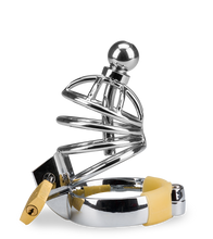 Laden Sie das Bild in den Galerie-Viewer, Peniskäfig mit Harnröhrenplug Alcatraz