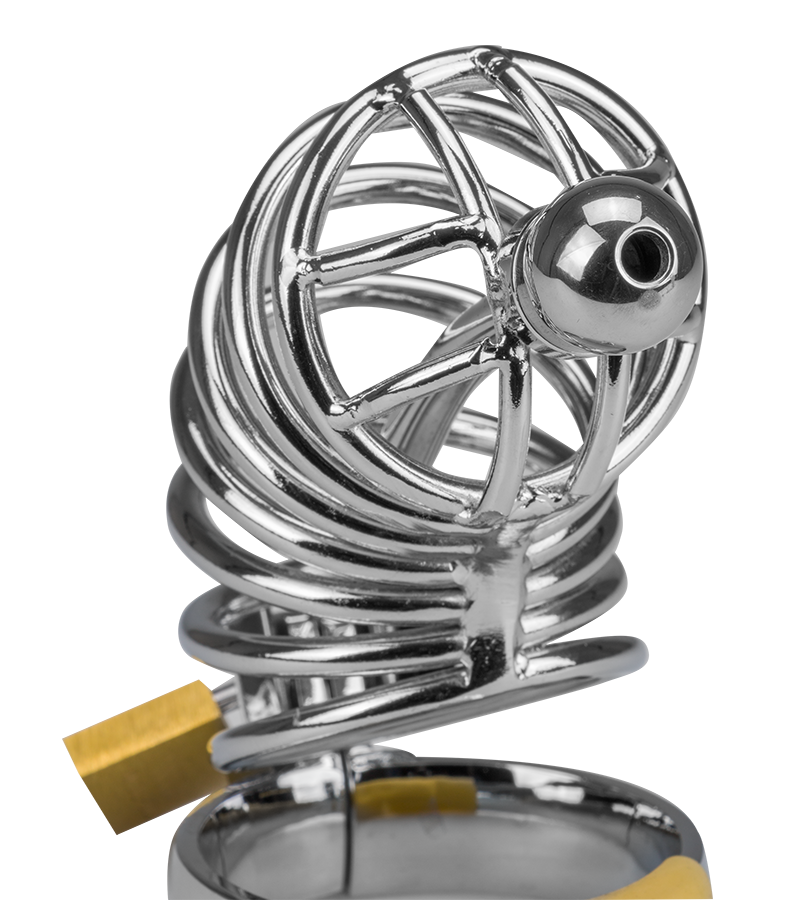 Peniskäfig mit Harnröhrenplug Delicious Chastity