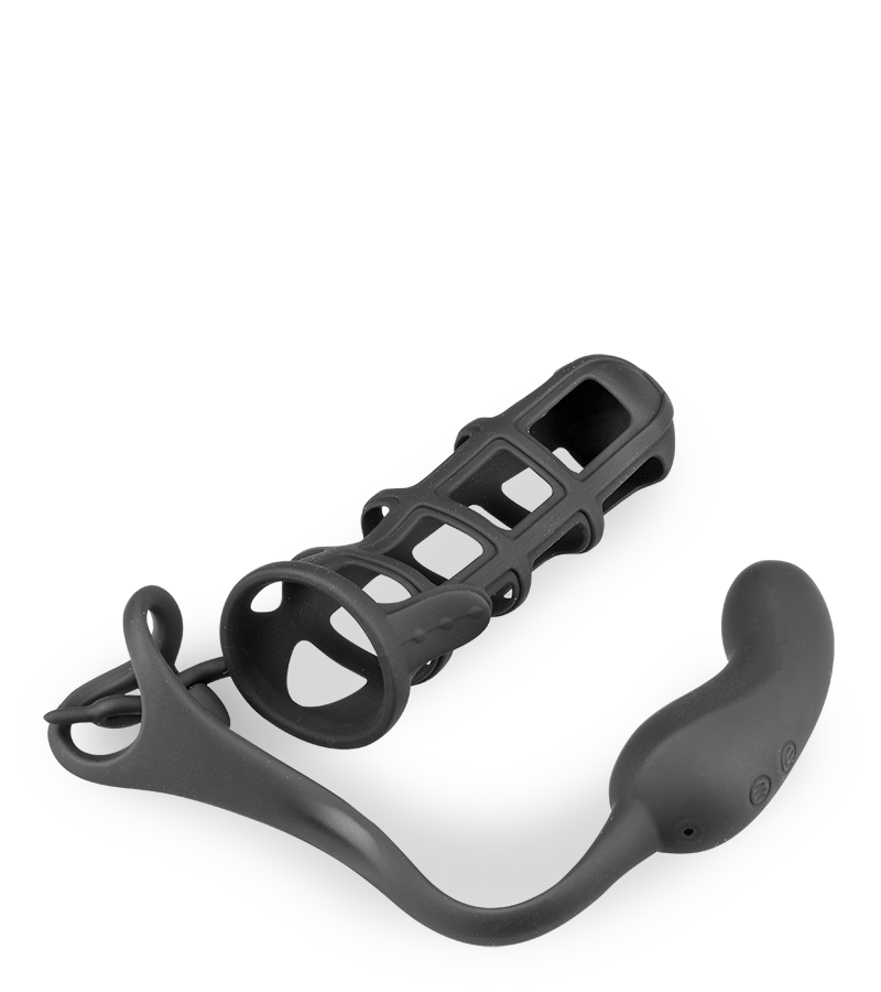 Peniskäfig mit Hodenring und Analvibrator