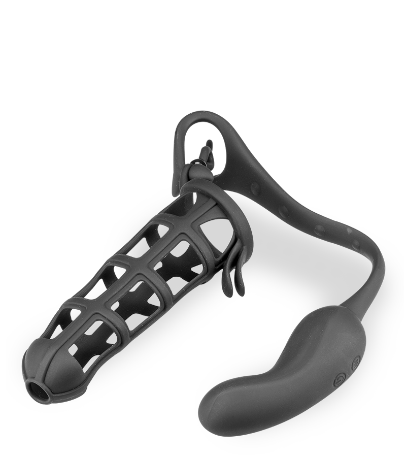 Peniskäfig mit Hodenring und Analvibrator