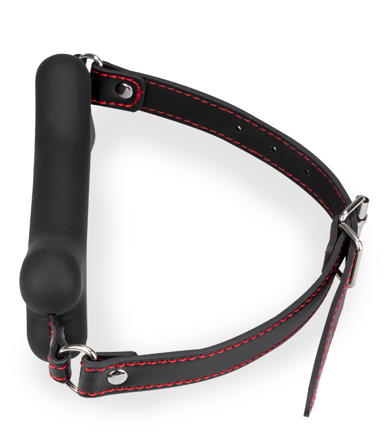 Puppy-Play-Knebel Knochen aus Silikon 12,3 cm