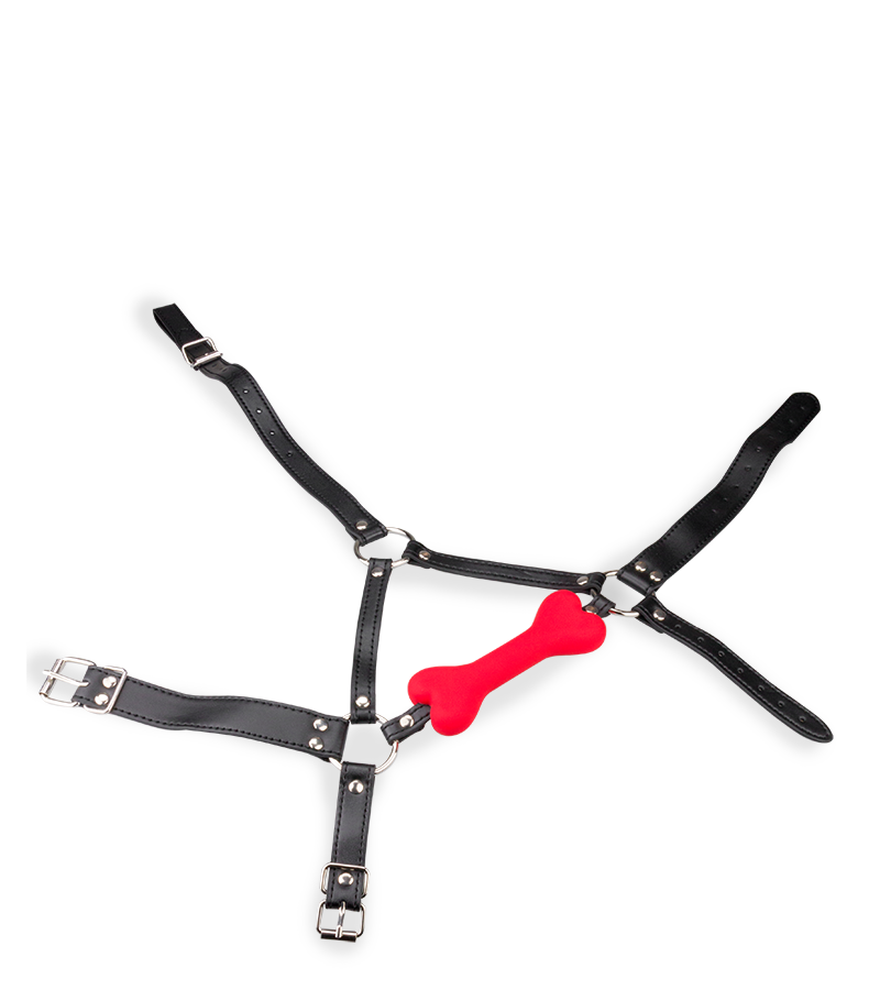 Puppy-Play-Kopfgeschirr mit Knebel aus Silikon 12,3 cm