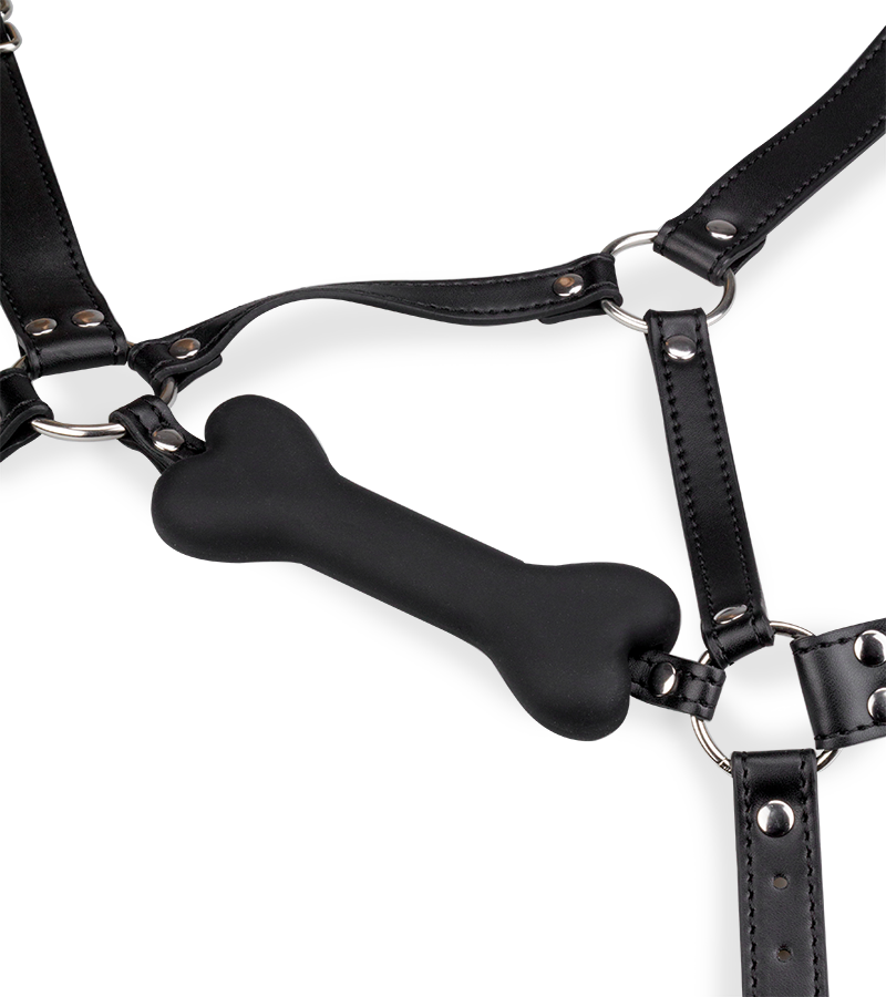 Puppy-Play-Kopfgeschirr mit Knebel aus Silikon 12,3 cm